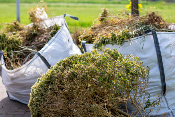 Best Local Junk Hauling  in Langley Park, MD