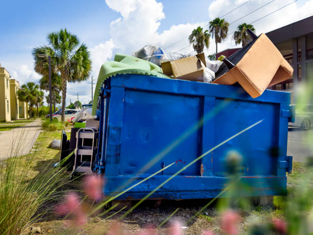 Best Furniture Removal Near Me  in Langley Park, MD