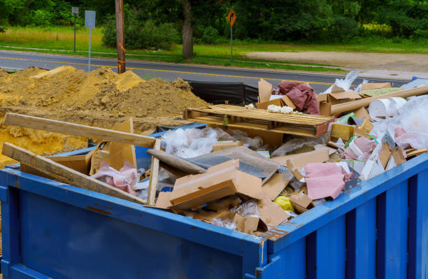 Debris Removal in Langley Park, MD